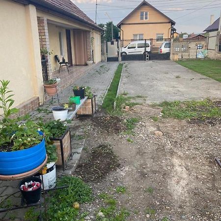 Casa Ionela Villa Cluj-Napoca Eksteriør billede